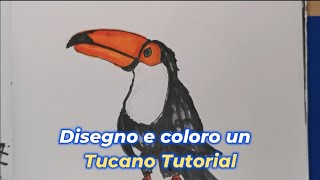 Disegno e coloro luccello Tucano Tutorial [upl. by Eckardt419]