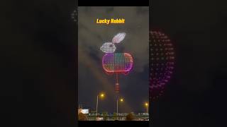 Mid Autumn Festival Drone Show  Part 1 drone dronevideo droneshots rabbit rabbits tamil [upl. by Riatsila]