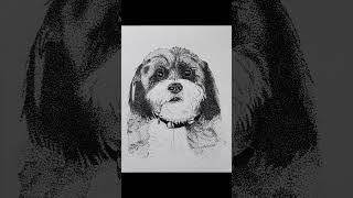 pointillism drawing 🐶 art drawing trending youtube viralvideo pointillism penart yt dog [upl. by Nial]