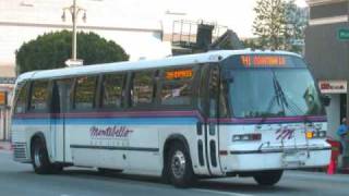 Montebello Bus Lines  9154 [upl. by Foah]