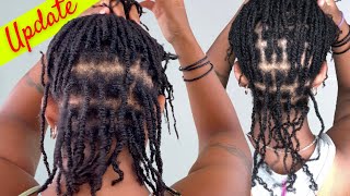 my 1 month sisterlocks journey  retwist plan [upl. by Airdnassac]