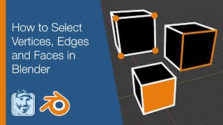 How to Select Vertices Edges and Faces in Blender [upl. by Tnemelc]