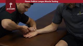 Flexor Pollicis Longus Muscle Test Palpation Dr Vizniak Muscle Manual [upl. by Nyrek356]