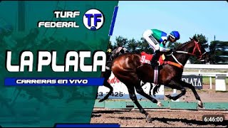 🆃🅵 🆃🆅 Hipodromo La Plata En Vivo Sabado16deNoviembre [upl. by Juana208]