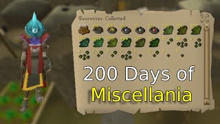 Loot From 200 Days of Miscellania WoW [upl. by Asuncion198]