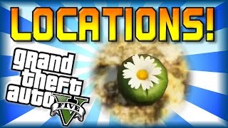 GTA 5  Peyote All Locations Guide Part 1  Become an Animal  First 3 Locations [upl. by Fante]