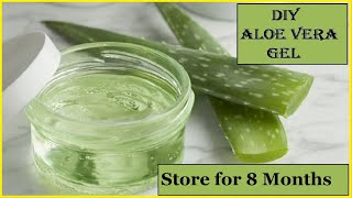 How to make aloe vera gel at home  DIY Homemade aloe vera gel [upl. by Nylirek966]