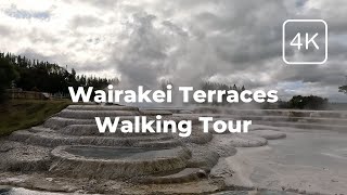 A Walkthrough the Wairakei Terraces amp Thermal Health Spa Taupo New Zealand ASMR [upl. by Laspisa]