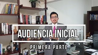 Audiencia Inicial Primera Parte [upl. by Dragelin385]