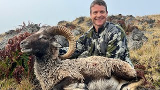 Mouflon Sheep Hunting in Hawaii [upl. by Ij]