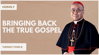 Bringing Back The True Gospel  William Cardinal Goh Homily  02 Jan 2024 [upl. by Kenny]