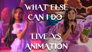 Encanto  What Else Can I Do  Live vs Animation  Side By Side Comparison Diane Guerrero [upl. by Wons]