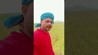 Dhaan kata tha Badal lyrics [upl. by Elazaro87]