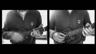 über den wolken ukulele cover [upl. by Annadal568]