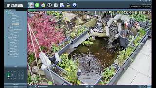 Unboxing amp Setup of SV3C Security Camera ONVIF [upl. by Frodin736]