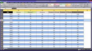 Alternating Row and Column Colors and Other Formatting Options in Excel [upl. by Bergeron]