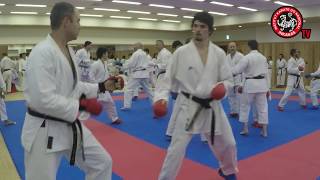 Kumite Seminar by Hideyoshi Kagawa Sensei [upl. by Nerin]