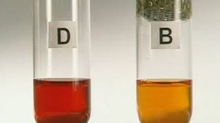 Using a hydrogen carbonate indicator to measure carbon dioxide levels [upl. by Prima205]