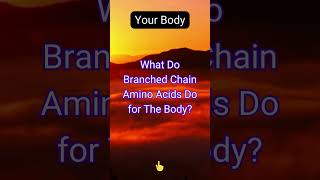 What Do BranchedChain Amino Acids Do for The Body [upl. by Kramer]