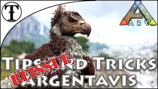 Fast Argentavis Taming Guide  Ark  Survival Evolved Tips and Tricks [upl. by Connie]