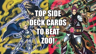 Top 5 best cards to BEAT ZOO Zoodiac Side deck choices you should think about [upl. by Dorella]