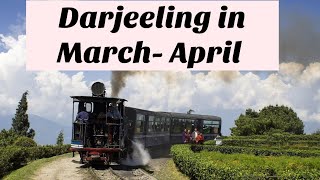 Darjeeling in April  Darjeeling In March  Darjeeling In March April  Darjeeling Tour Guide [upl. by Ennaeirrac]