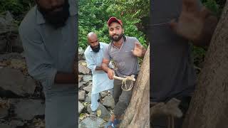 ichha dhaari girgit 🦎🦎🥴🥴 funny shortvideo comedy fun [upl. by Rachele]