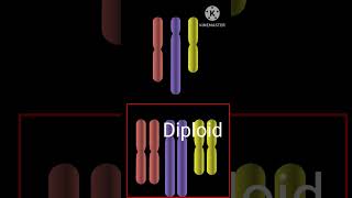 What is Haploid diploid 🤔 Biology [upl. by Hgielhsa570]