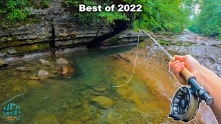 THE BEST FLY FISHING  TROUT FISHING VIDEO Best of Compilation  2022 [upl. by Gemma93]