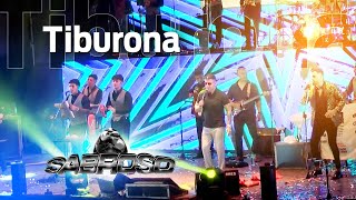 Sabroso  Tiburona En vivo  22 aniversario [upl. by Munafo420]