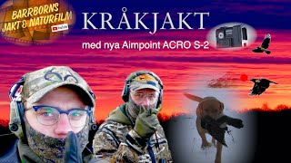 Kråkjakt med nya Aimpoint Acro S2 [upl. by Nnylecoj]