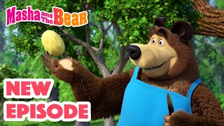 Masha and the Bear 2024 🎬 NEW EPISODE 🎬 Best cartoon collection 🥔 Soup Pursuit 🥕🍲 [upl. by Zeugirdor]