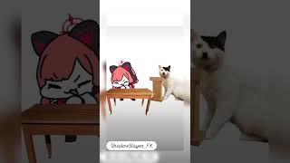 Kitler song being sung by momo chanfunnyshorts subscribe yt [upl. by Milka]