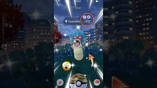 POKÉMON GO WILD AREA GLOBAL  full evolution Pokemon Gyarados in pokemon go pokemon [upl. by Ozmo]