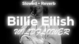 ♡ Billie Eilish  WILDFLOWER ♡ Slowed  Reverb  Lyrics [upl. by Theo717]