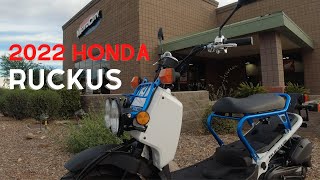 2022 Honda Ruckus 49cc Scooter Review of Specs Features  Walkaround  3 New Colors and 114 mpg [upl. by Einhorn]