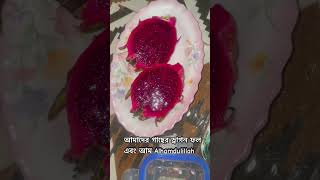 Freshfruitslovefamilyvlog cookingfoodiecooking foodievlogtravel ShinebrightwithAfsananasrin [upl. by Scarlet]