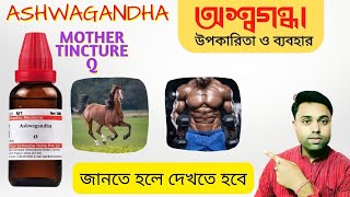 Best Medicine For overall Health ।। Withania Somnifera ।। Ashwagandha Mother Tincture Bangla [upl. by Warms]