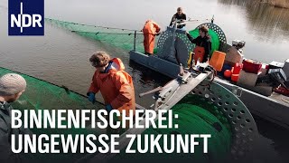 Die letzte Binnenfischerin  Die Nordreportage  NDR Doku [upl. by Lednahs]