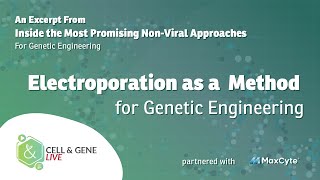 Electroporation as a Method for Genetic Modification [upl. by Chavaree]