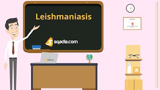 Leishmaniasis  Animation Video  Infectious Medicine  VLearning™  sqadiacom [upl. by Greenwell878]