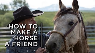 How to make a horse a friend One cowboys partnership with horses [upl. by Ahcim]