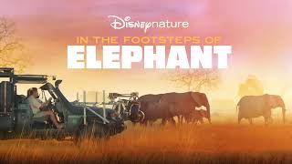 Elephant Movie Score Suite  Ramin Djawadi 2020 [upl. by Ynnob]