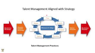 The Talent Management Model [upl. by Gronseth]