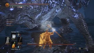 DS3 Midir vs Pestilent Mist  Coop [upl. by Hawken]