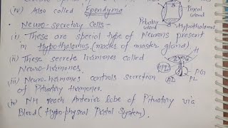 04 Neurosecretory cells of Nervous tissue For AIIMS JIPMER NEET [upl. by Enahsed]