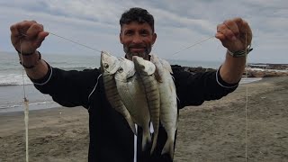 IN PESCA CON ARENICOLA LOCALE PER LORATA E LE MORMORE ZEBRATE [upl. by Dorcea]