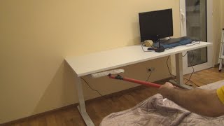 Adjustable desk SLANGERUP 80x160 White Unboxing Assembly and Test [upl. by Mirisola]