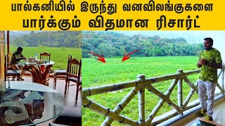 Ep2 Forest View Room Stay 🐘Spot Wild Animals🦌  Thekkady Tourist Places [upl. by Ime]