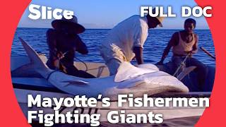 Fundi Shark Masters The Legendary Shark Fishermen of Mayotte  SLICE  FULL DOCUMENTARY [upl. by Putscher]